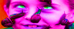 This flag faggotedly spammed to you by "Gene Rod N Berries" 10 times